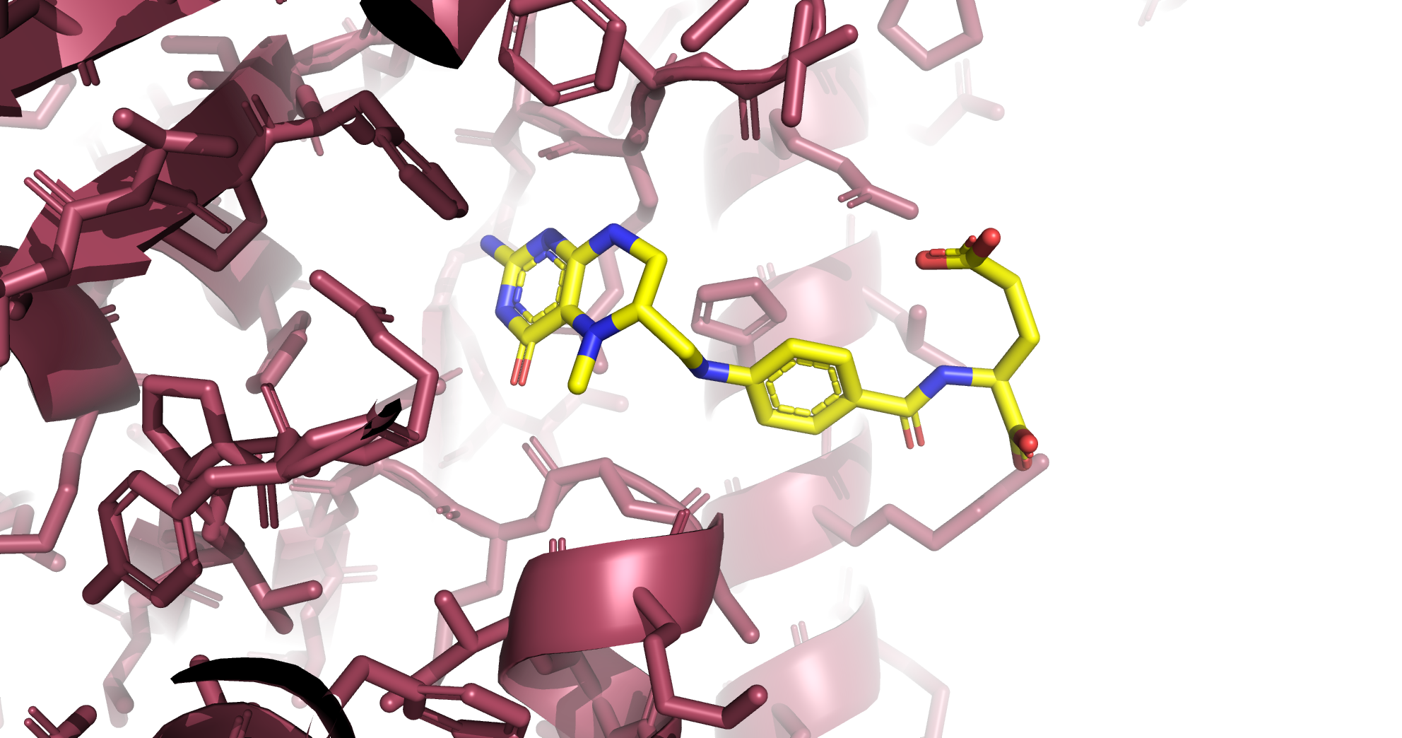 X-ray crystal structure of 5-MTHF bound in PKM2 allosteric pocket.
